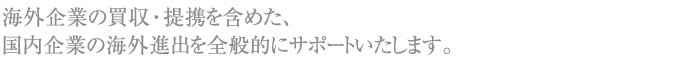 海外企業の買収・提携を含めた、国内企業の海外進出を全般的にサポートいたします。